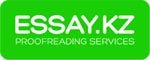 essay